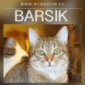 Barsik