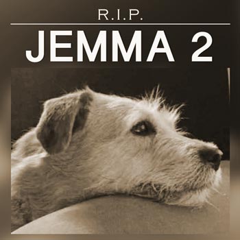 Jemma 2