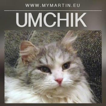Umchik