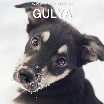 Gulya