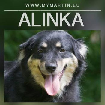 Alinka