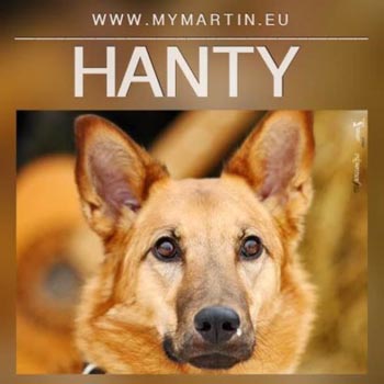 Hanty