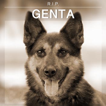 Genta (Gerta)