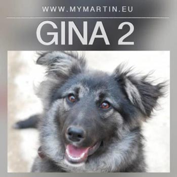 Gina 2