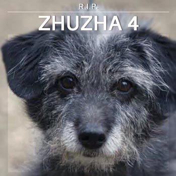 Zhuzha 4