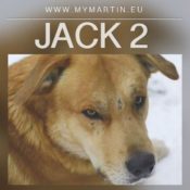 Jack2