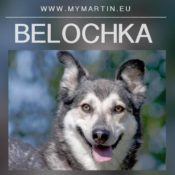 Belochka