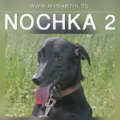 Nochka2