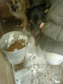 Voedsel voor rotzooi