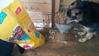 Voedsel voor rotzooi