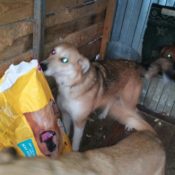 Moskou, de ochtend van 31 december 2016