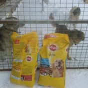 Moskou, de ochtend van 31 december 2016