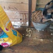 Moskou, de ochtend van 31 december 2016