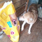 Moskou, de ochtend van 31 december 2016