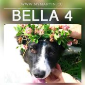 Bella 4