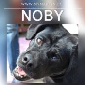 Noby