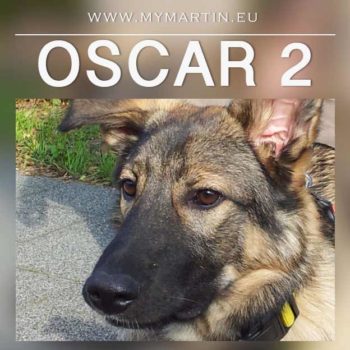 Oscar 2