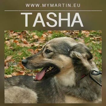 Tasha
