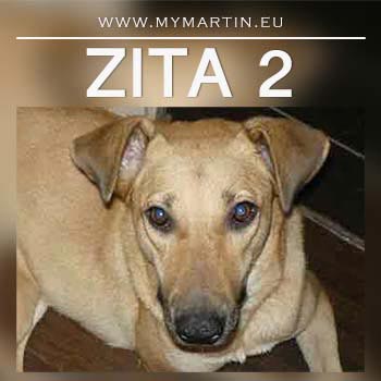 Zita 2