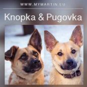 Knopka en Pugovka