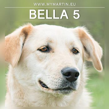 Bella 5