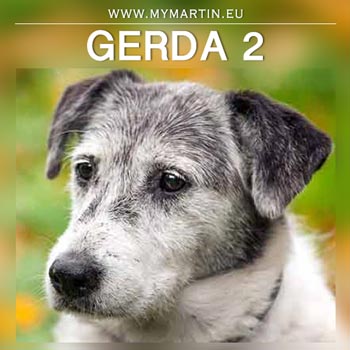 Gerda 2