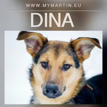 Dina