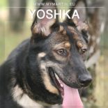 Yoshka