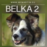 Belka 2