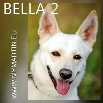 Bella 2