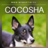 Cocosha