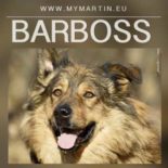 Barboss