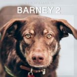 Barney 2