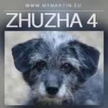 Zhuzha 4