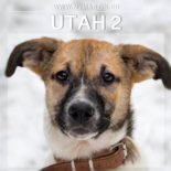 Utah 2