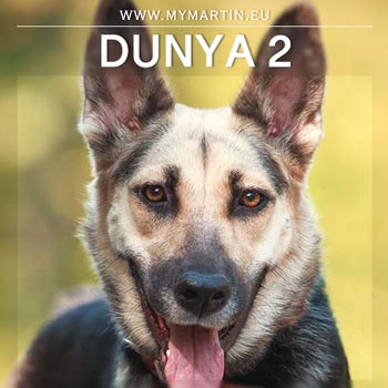 Dunya 2