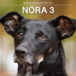 Nora 3
