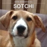 Sotchi
