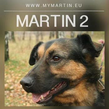 Martin2
